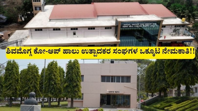 KMF Shivamogga Recruitment 2025