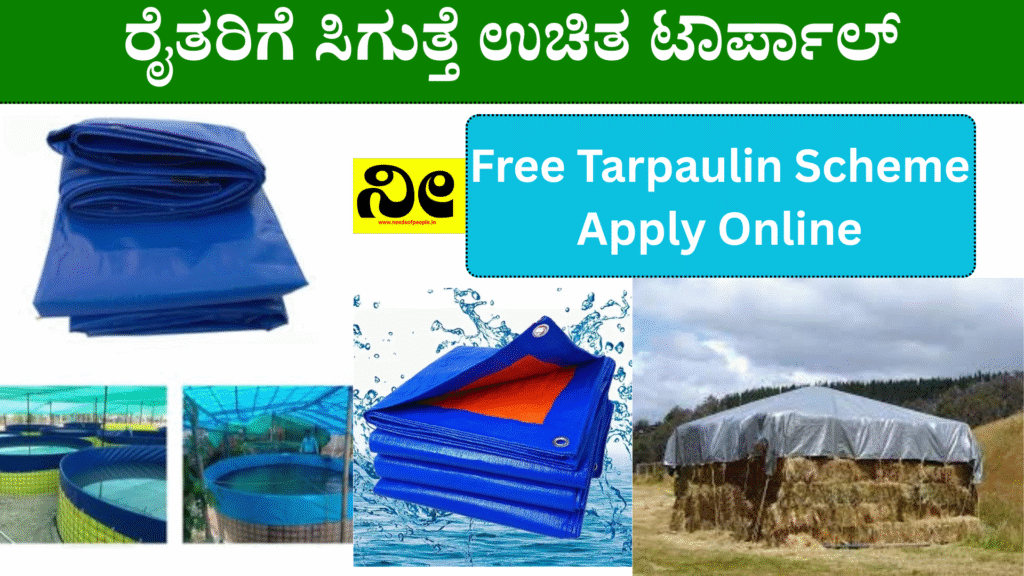 Free Tarpaulin Scheme