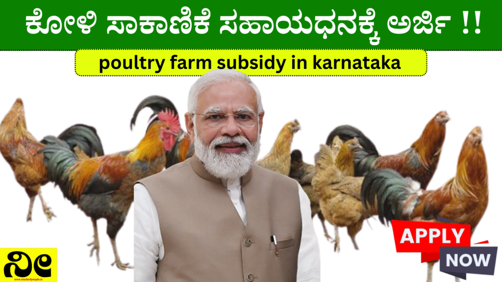 Poultry Farming Schemes